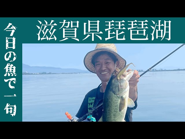 【檸檬♪ページ】 「珀の昇天」　「いつも一緒」　「釣りに行こう！」 Haiku about today's fish #04] My first bass remains in my