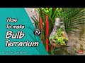 പഴയ ബൾബ് കളയല്ലെ ഒരു Terrarium സെറ്റ് ചെയ്യാം / how to open a filament bulb /green gifting