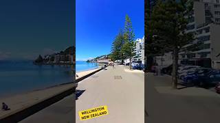 Virtual Run in Wellington New Zealand 😍 #virtualrun #virtualrunningtv #newzealand #treadmillscenery