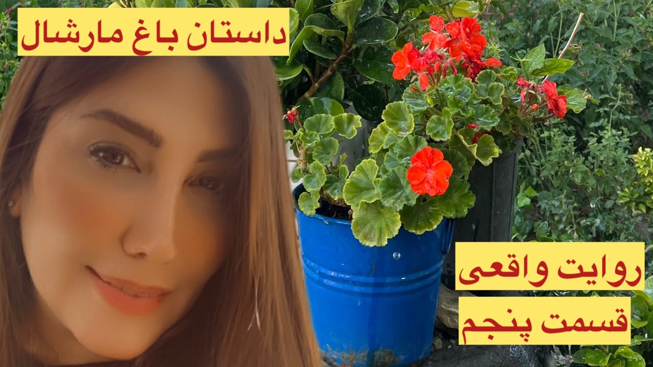داستان احساسی باغ مارشال حسن کریم‌پور | روایت واقعی از عشق، درد و غربت و خیانت#قصه_شب #داستان_واقعی 