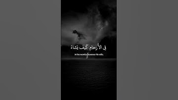 ما تيسر من سورة آل عمران - عبد الرحمن مسعد