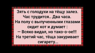 видео: Как Зять с Голодухи с Тещей Лёг! Сборник Свежих Анекдотов! Юмор! картинка: Как Зять с Голодухи с Тещей Лёг! Сборник Свежих Анекдотов! Юмор!