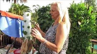Future Growing® Tower Garden® Farm At Hope4Kids Preschool