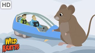 Voles and Other Cold Climate Creatures [Full Episodes] Wild Kratts