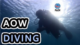 【PADI AOW考照】兩分鐘內帶你遊墾丁海底| Diving in Kenting ... 