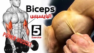 Best 5 to get Wider Biceps