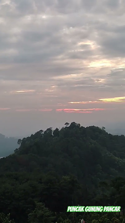 Pemandangan Di puncak gunung pancar saat pagi hari #albogory1002 #bogor