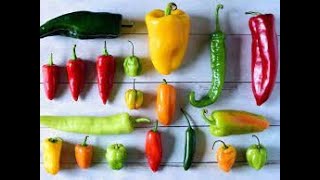 The Main Benefits Of Eating Pepper For Your Health