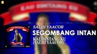 Salih Yaacob - Segombang Intan ( Stream Video)