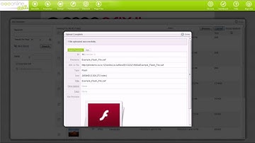 Flash Content - 123 Online Shift CMS Tutorial