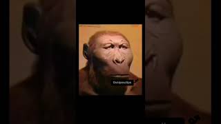 WHAT WAS YOUR LIFE BEFORE??😰😰 #realevents #youtubeshorts #aura #humor #dababytypebeat #funny #rap