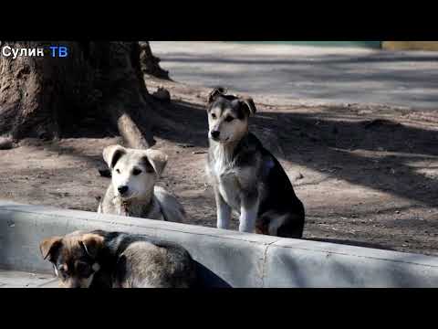 Быстрые новости 03 04 26