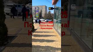 1 марта 2025. Краснодар почти ВЕСНА! -4 таят снег.
