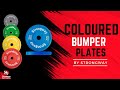 Weight Plates Barbell Olympic 2 Inch Bar Bumper Home Gym Weightlifting Strength Equipment Strongway