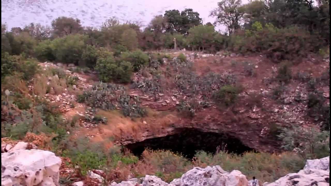 Bracken bat cave Texas over 20 million bats 1 YouTube
