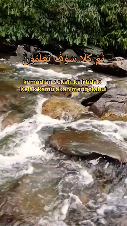 Firman ﷲ QS. At-Takatsur. qori KH Muammar ZA. #alquran #youtubeshorts  #shorts
