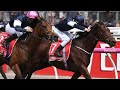 Melbourne Cup - How to place a win bet - YouTube