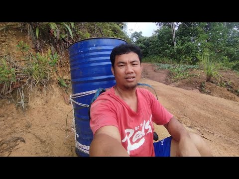 Naik Bukit Angkat Drum  ke Ladang untuk Kegunan pengumpulan  air 