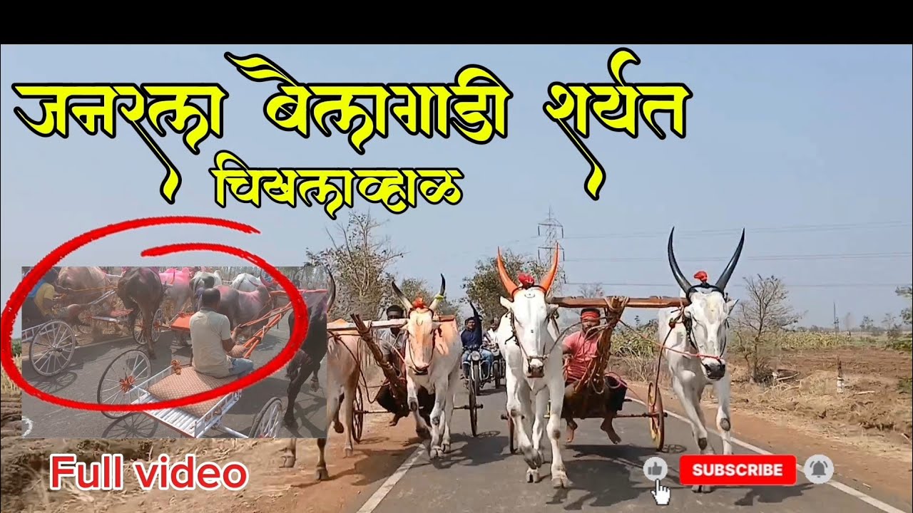 जनरल बैलगाडी शर्यत (चिखलव्हाळ)🚩🚩