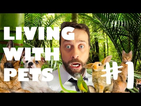 Living with Pets