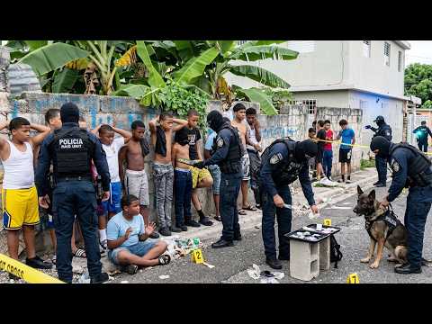 IMG 0205