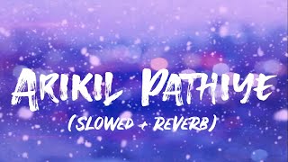 Arikil Pathiye | Najeem Arshad | Sangeetha Sreekanth | Slowed Reverb | Lyrics video