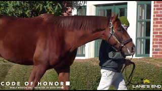Code Of Honor (2016) thoroughbred standing @Lanes End 2021