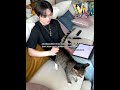 minho best turk🥀🫰🏽 #keşfet #straykids #stay #leeknow #dori