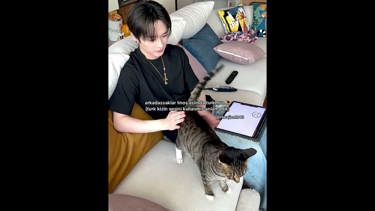 minho best turk🥀🫰🏽 #keşfet #straykids #stay #leeknow #dori