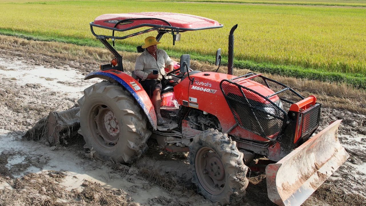 Technique Of Mud Paddy Field Plowing Very Powerful Process And Drive