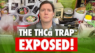 The $30 BILLION Loophole That Accidentally Legalized It? 🌿