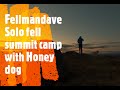 Solo fell summit Lake district wild camp with Honey dog, reflection, peace and a bit too much gin!