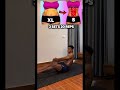 Simple Core Workout for Beginners 🔥#foryou #motivation #fitness #abs #shorts #trending