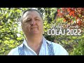 Colaj Neluta Bucur - Muzica de Petrecere si Pahar 2022 - Colaj 2022 Muzica Neluta Bucur