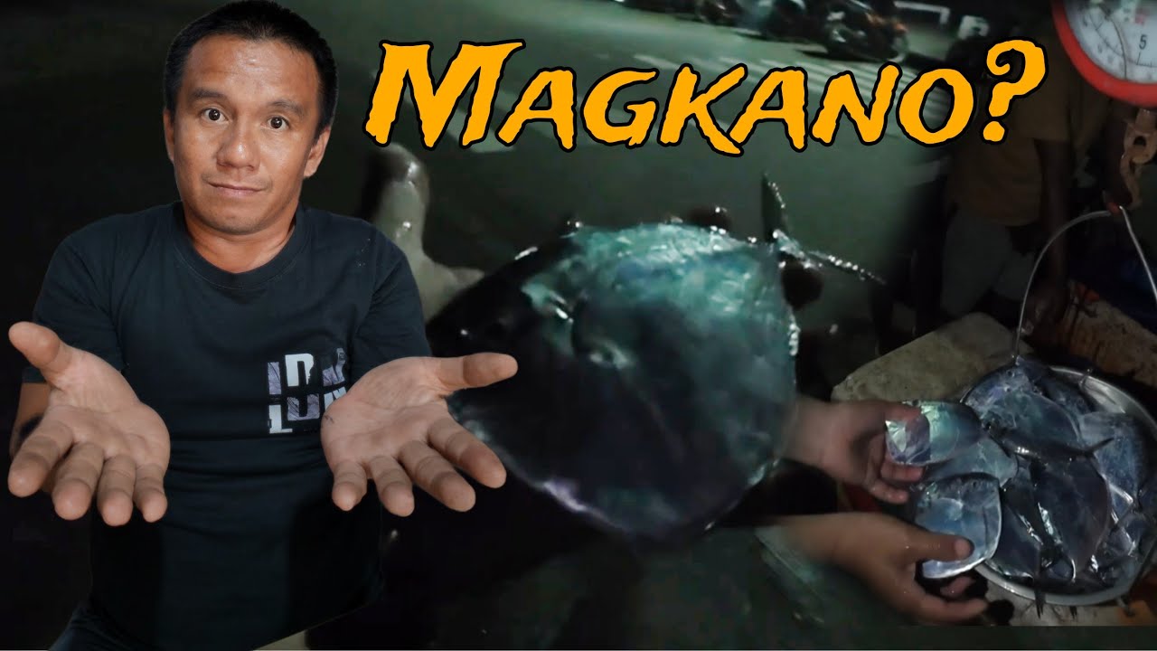 BINTAHAN NG ISDANG BILONG-BILONG MAGKANO NGA BA ANG KILO? ALAMIN