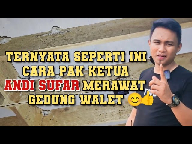 Ternyata seperti ini🤔 Cara pak ketua ANDI SUFAR Merawat gedung walet 😀👍 class=