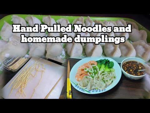 Hand pulled noodles (like udon) and making homemade dumplings from scratch 😋
