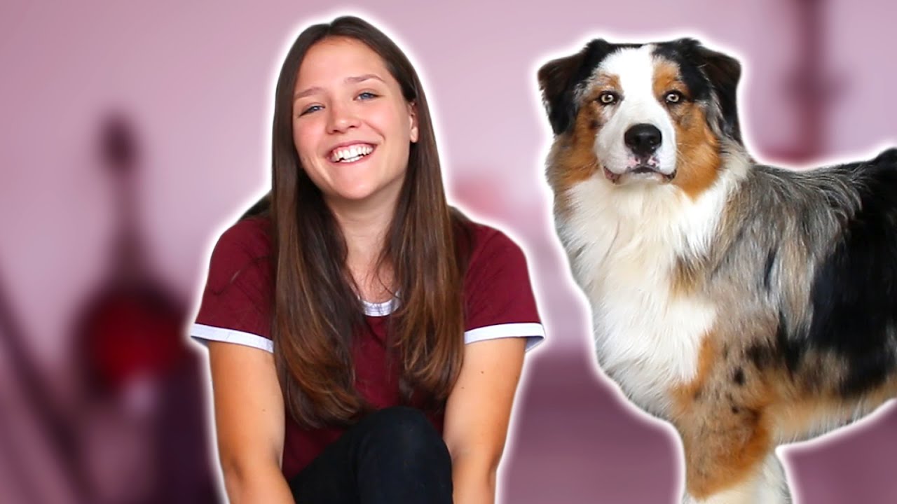 Je Teste L Intelligence De Mon Chien Youtube