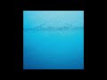 CARIBOU - Ravi