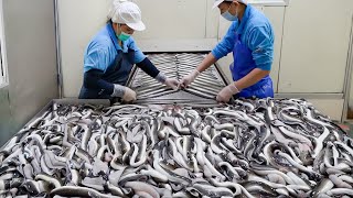 Kabayaki grilled eel bowl mass production / 蒲燒鰻魚量產, 鰻魚蓋飯  Taiwanese food factory