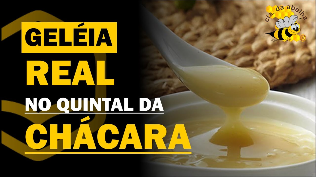 PRODUZINDO GELÉIA REAL NO QUINTAL DO SEU SÍTIO