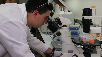 Engineered Biomaterials &  Biomechanics Overview