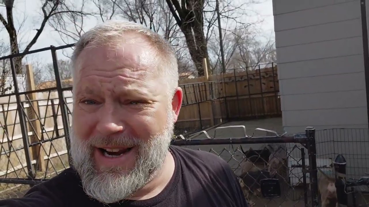 Puppy's bath puppy's playing puppies for sale.Big girls playing