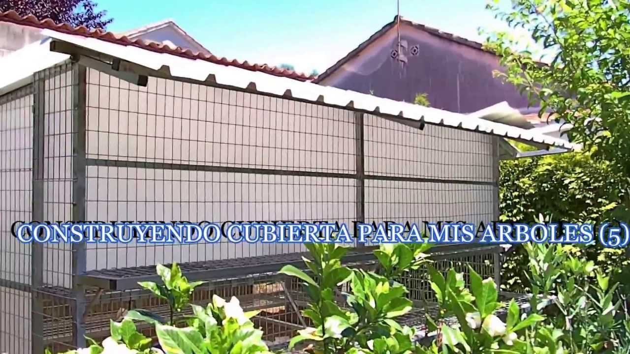 CONSTRUYENDO CUBIERTA PARA MIS ARBOLES (5) - YouTube