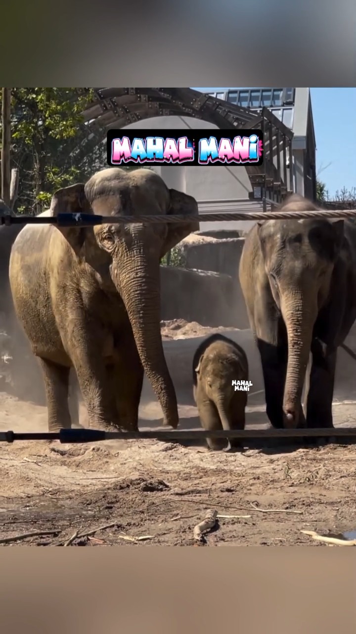 💖நீயே என் சந்தோசம்🥰 - ShareChat