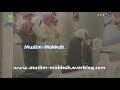 Tahajjud L Shaikh Sudais Surah Al An Am Ramadan 1418 1998 