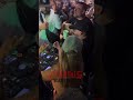 la bichota karol g de fiesta en #medellincolombia con #arcangel #karolg #ryancastro #party #pr