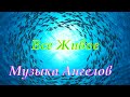 Песня ВСЕ ЖИВОЕ ✬ новый замечательный клип 2021 ✬