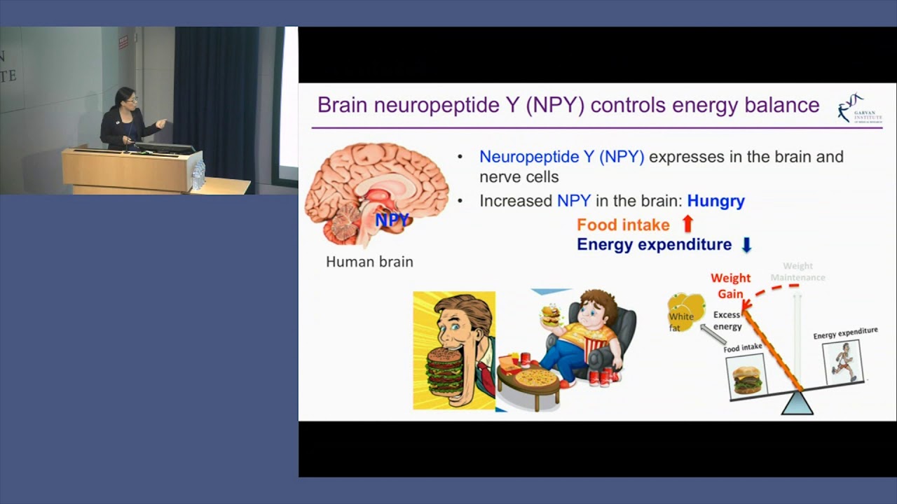 How the brain controls fat burning - Dr Yanchuan Shi - YouTube