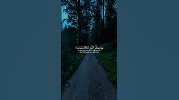 القرآن الكريم ❤️ #اكسبلور #المصحف #quran #القرآن_الكريم #لايك #fyp